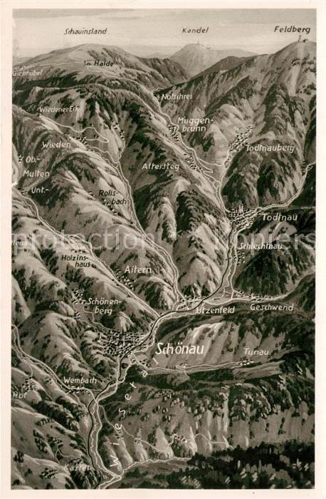 Feldberg Schwarzwald Hotel Feldbergerhof Schauinsland Schoenau aus der Vogelpers