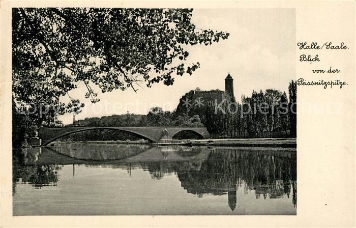 Halle Saale Blick von der Peissnitzspitze Bruecke Burg Giebichenstein Bromsilber