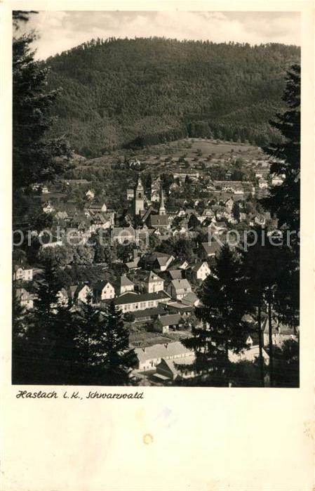 Haslach Kinzigtal Stadtansicht vom Waldrand aus