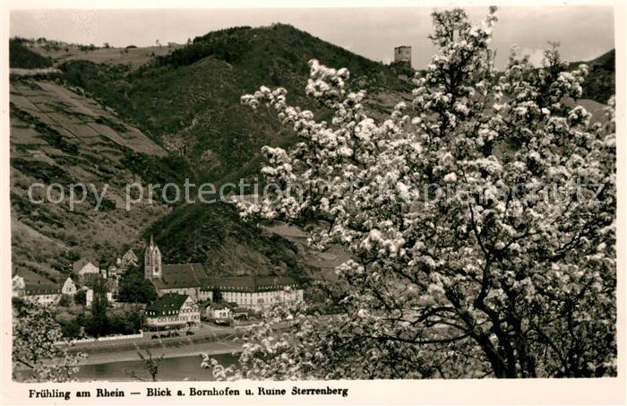 Bornhofen Kamp Durchblick zum Ort mit Ruine Sterrenberg Fruehling am Rhein
