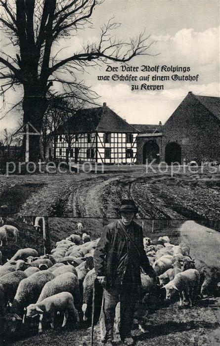 Kerpen Rheinland Kolping Geburtshaus Schaefer Schafherde