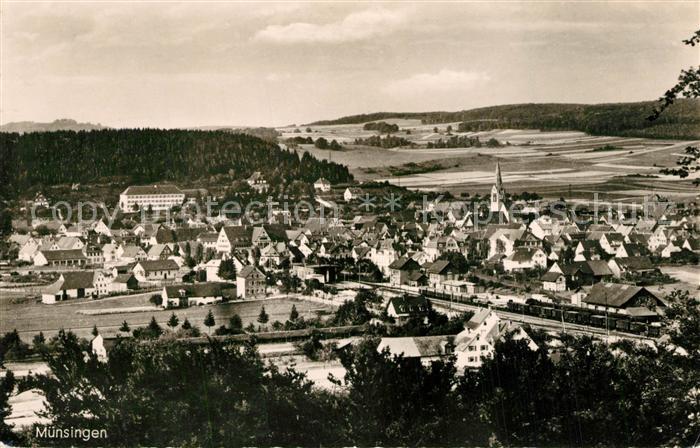 Muensingen Panorama