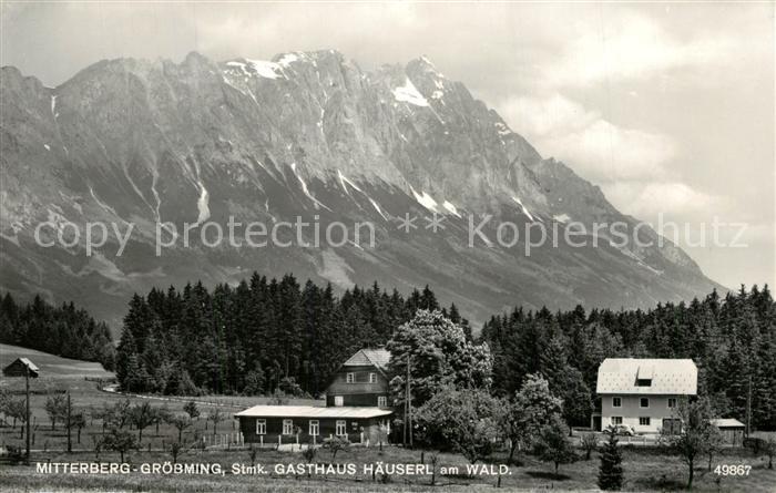 Mitterberg Steiermark Gasthaus Haeuserl am Wald Alpen