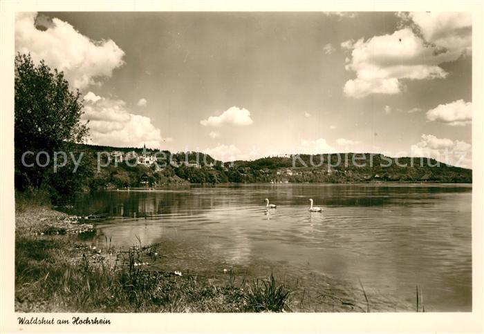 Waldshut-Tiengen Uferpartie am Rhein