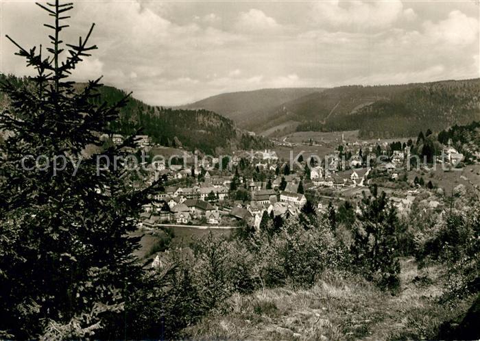 Bad Herrenalb Panorama Kurort im Schwarzwald