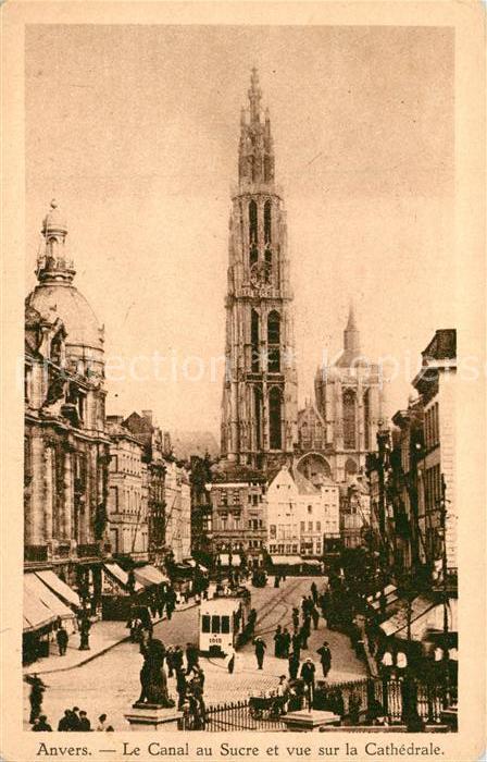 Anvers Antwerpen Canal au Sucre vue sur la Cathedrale
