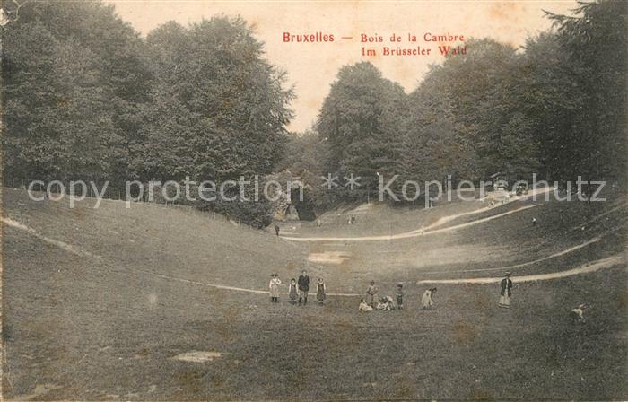 Bruxelles Bruessel Bois de la Cambre