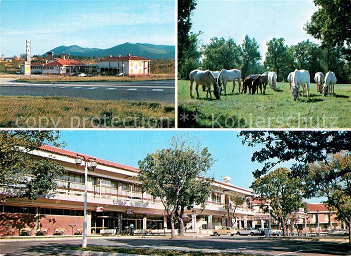 Lipica Hotel Maestoso Motel Kozina Lipizzaner Pferde