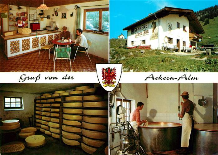 Thiersee Kaeserei Ackernalm