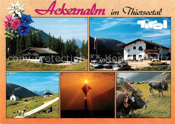 Thiersee Alpengasthof Jausenstation Ackernalm Sennerei Morgenstimmung Almabtrieb