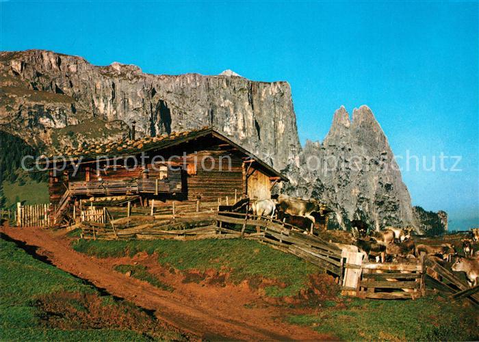 Alpe di Siusi Berghuette Almvieh Dolomiten