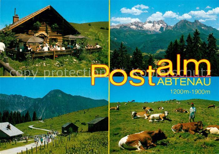Abtenau Wandergebiet Postalm Wieslerhuette Hoher Dachstein Almvieh Kuehe