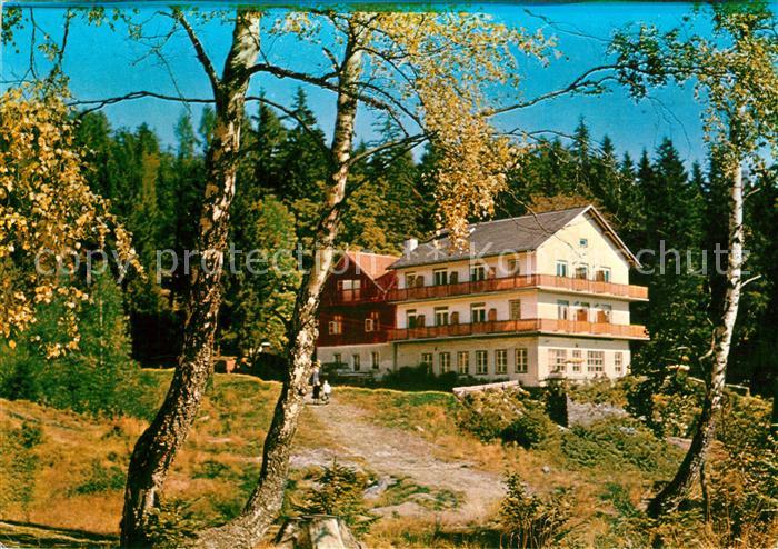 Schaueregg Tauchen Waldgasthof Pension Traenk Toerl