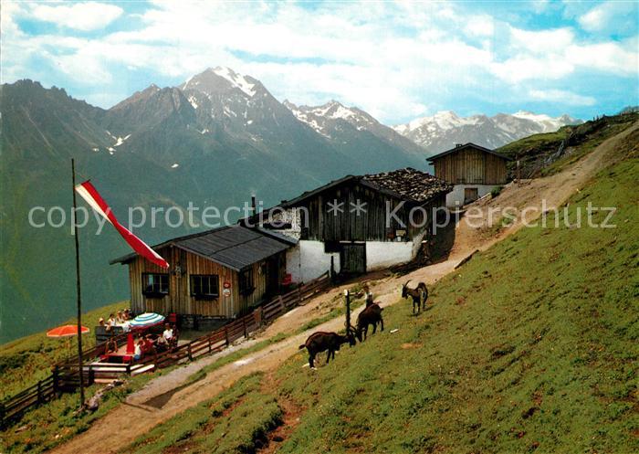 Fulpmes Tirol Kaserstatt-Alm Ziegen