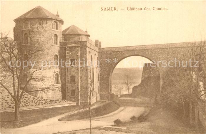 Namur Wallonie Chateau des Comtes