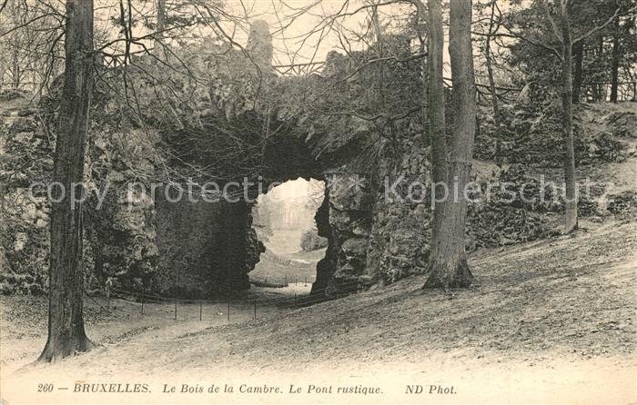 Bruxelles Bruessel Bois de la Cambre Pont rustique