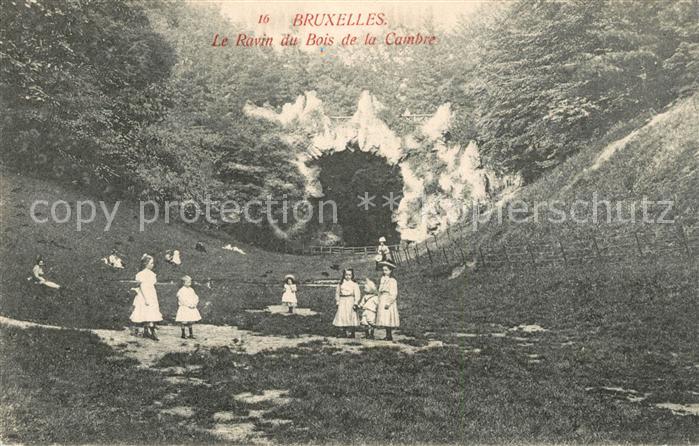 Bruxelles Bruessel Le Ravin du Bois de la Cambre