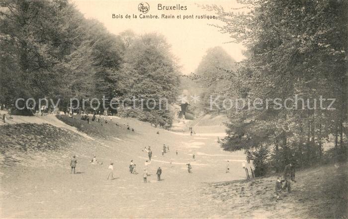 Bruxelles Bruessel Bois de la Cambre Ravin et pont rustique Serie 1 No. 186