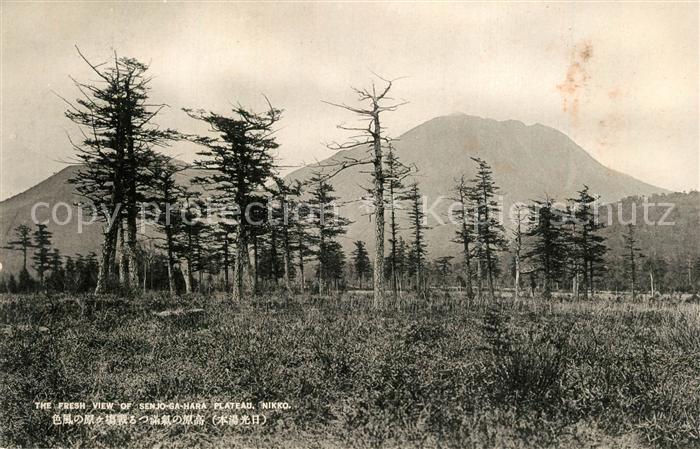 Nikko Senjo Ga Hara Plateau Landschaftspanorama