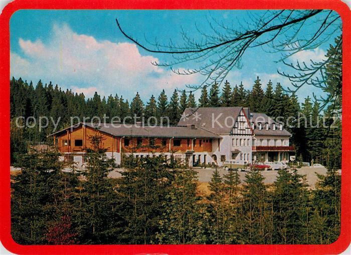 Eifel Region Dt Hochwildschutzparke Schulte Wrede Hotel Waldhaus Restaurant