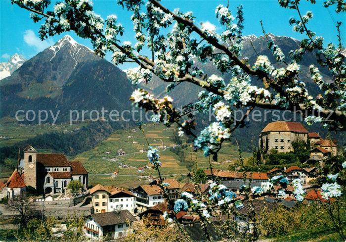 Schenna Meran Panorama