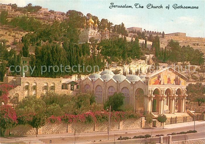 Jerusalem Yerushalayim The Church of Gethsemane