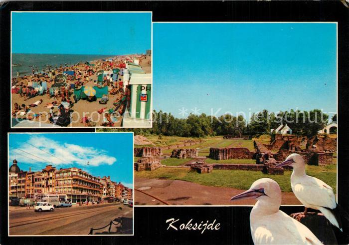 Koksijde Strand Strassenpartie Panorama