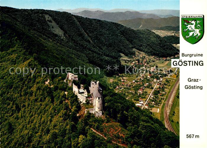 Goesting Fliegeraufnahme Burgruine Goesting