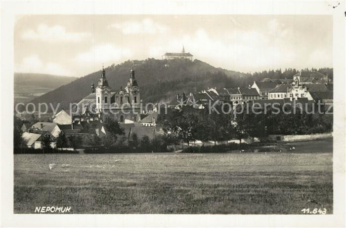 Nepomuk Pomuk Ortsansicht mit Kirche Kloster