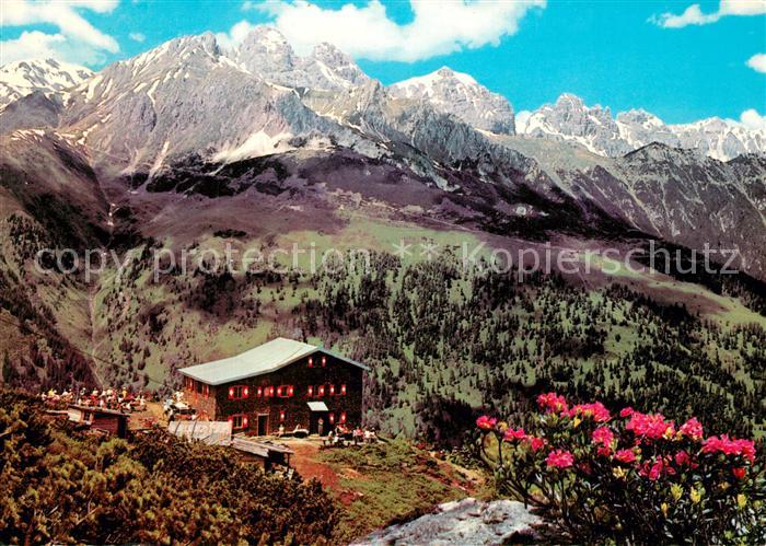 Neustift Stubaital Tirol Hochstubai Elferhuette Berghuette Alpenflora Stubaier A