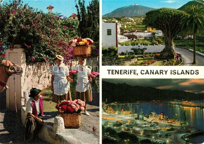 Tenerife Inselbewohner Trachten Blumen Blick zum Vulkan Teide Hafen Nachtaufnahm