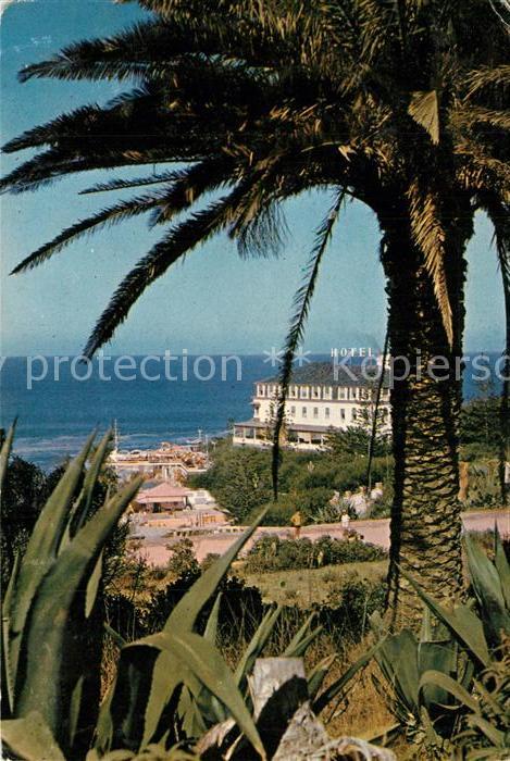 Ericeira Palmen Blick zum Hotel de Turismo Meerblick