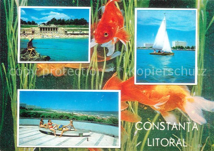 Constanta Badestrand Hotel Swimming Pool Segelboot Unterwasserwelt Fische