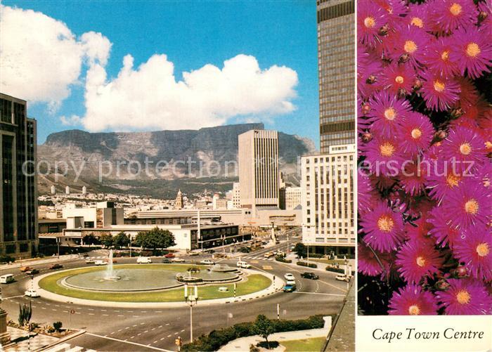 Cape Town Kaapstad Kapstadt Centre Flowers