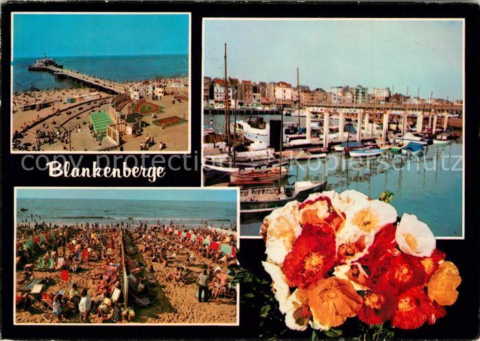 Blankenberge Strand Seebruecke Hafen Blumen