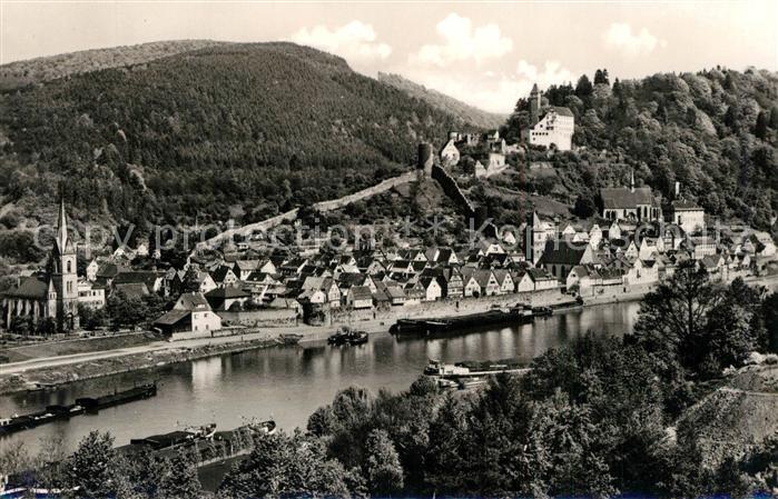 Hirschhorn Neckar Panorama