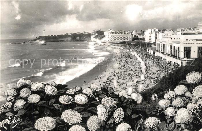 Biarritz Pyrenees Atlantiques Hortensies Grande Plage