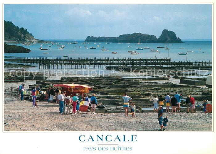 Cancale Les parcs a huitres Austernbaenke