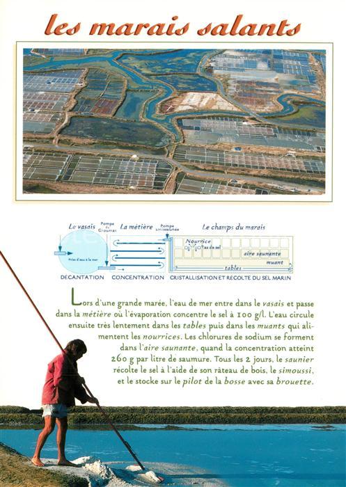 Le Croisic Les marais salants