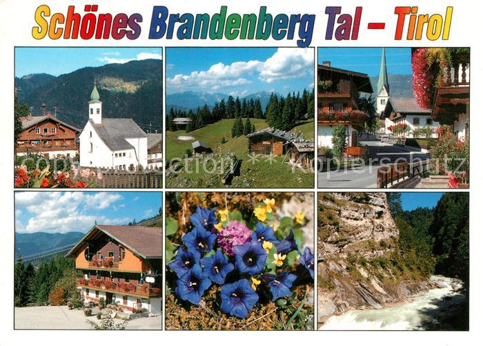 Brandenberg Tirol Motive Doerfer im Brandenberger Tal Blauer Enzian Tiefenbachkl