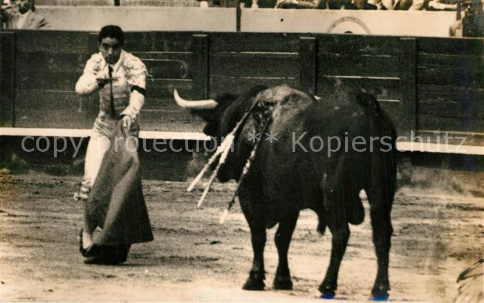 Stierkampf Elarranque Entrando a Matar