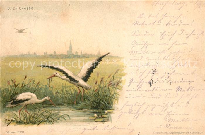 Storch Litho En Chasse