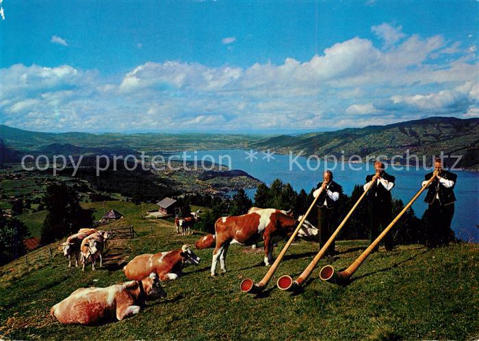 Alphorn Alphorntrio Morgeb?rg Aeschiried Thunersee K?he