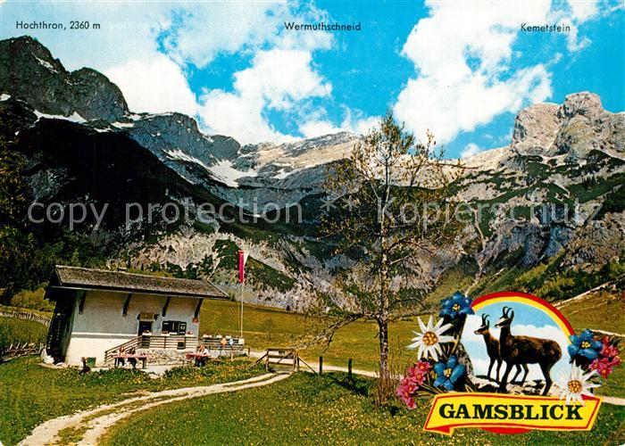 Werfenweng Berggasthaus Gamsblick Tennengebirge Alpenflora