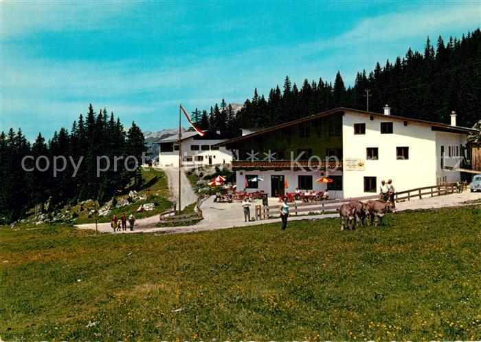 Ehrwald Tirol Ehrwalder Alm Berggaststaette Almvieh Kuehe