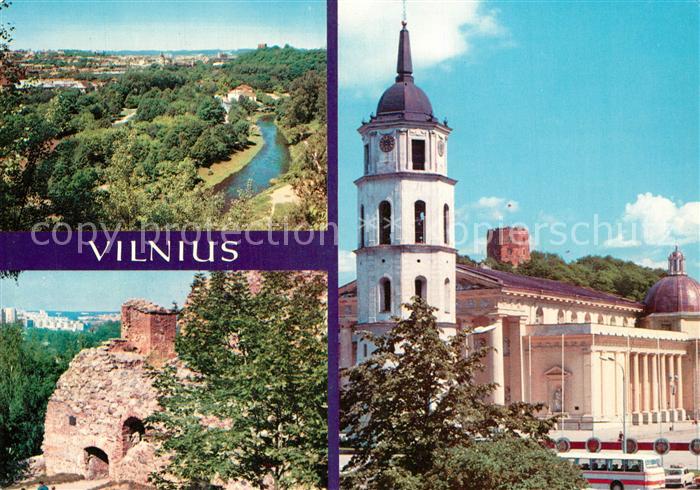 Vilnius Landschaftspanorama Ruine Kathedrale