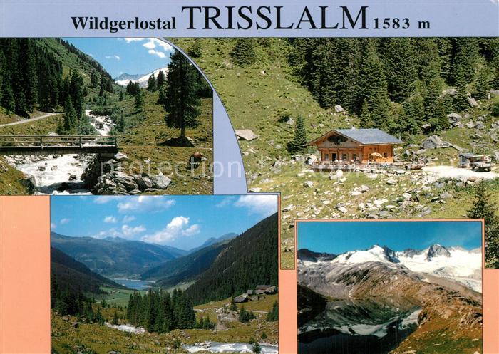 Aschau Zillertal Wildgerlostal Trisslalm Panorama Nationalpark Hohe Tauern