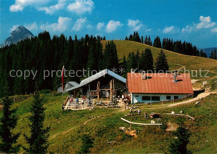 Nesselwaengle Tirol Edenalm Jausenstation Tannheimer Tal