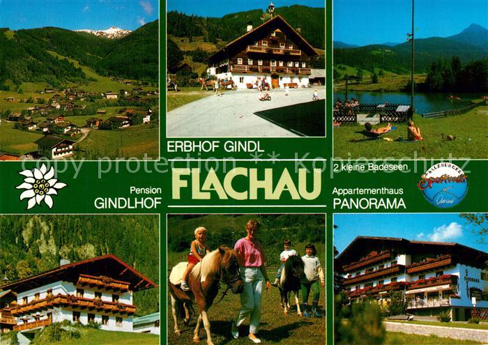 Flachau Pension Gindlhof Erbhof Gindl Appartement Panorama Ponyreiten Badesee Al
