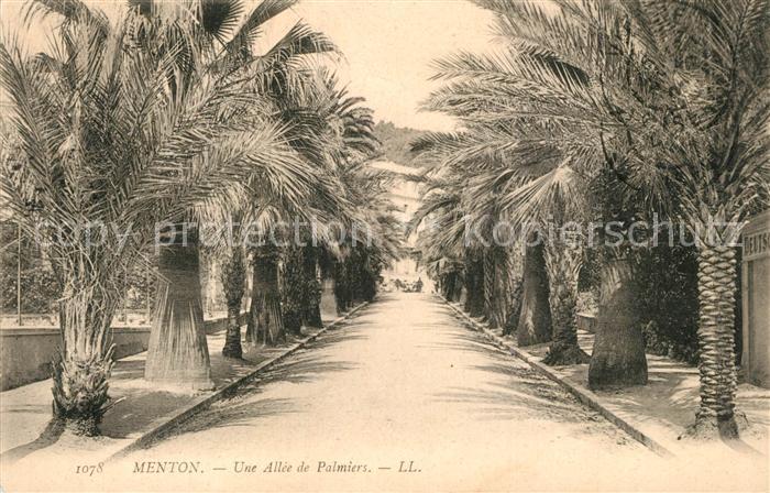 Menton Alpes Maritimes Allee de Palmiers